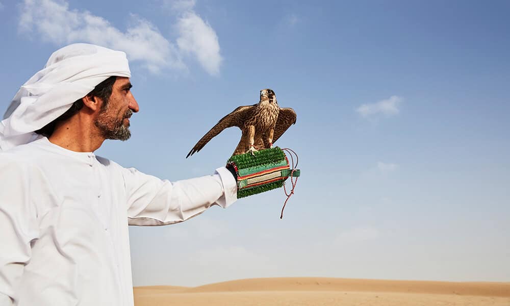 amazing facts about Dubai